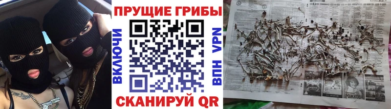 Галлюциногенные грибы мицелий  Переславль-Залесский 
