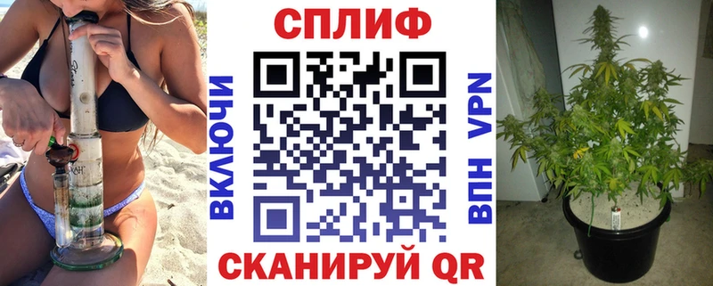 Шишки марихуана сатива  наркота  KRAKEN маркетплейс  Переславль-Залесский 
